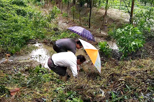 张光成徒手清理排水沟内的污泥杂物