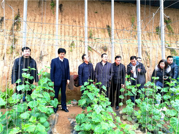 副校长朱军现场察看帮包村扶贫产业项目和基础设施 副校长朱军现场察看帮包村扶贫产业项目和基础设施