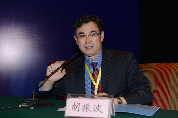 泰山学者海外特聘专家胡振波作报告 泰山学者海外特聘专家胡振波作报告